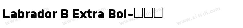 Labrador B Extra Bol字体转换